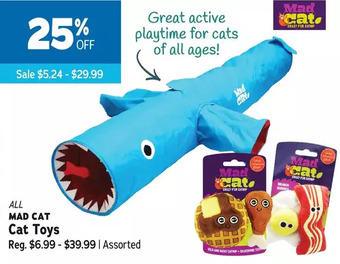 Ren’s Pets Depot Mad cat cat toys offer