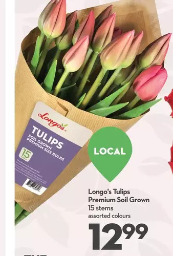 Longo's Longo's tulips premium soil grown 15 stems offer