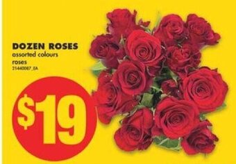 No Frills Dozen roses offer