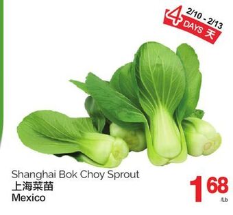 T&T Supermarket Shanghai bok choy sprout offer