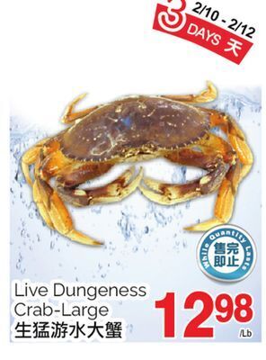 T&T Supermarket Live dungeness crab-large offer