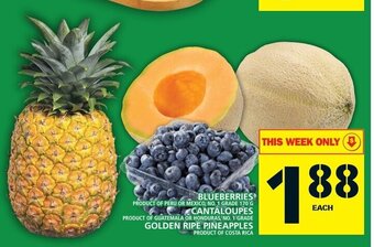 Food Basics Blueberries 170g, Cantaloupes, Golden Ripe Pineapples offer