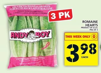 Food Basics Romaine Hearts Pkg of 3 offer