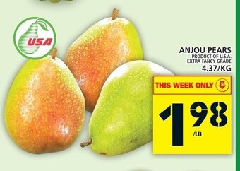 Food Basics Anjou Pears offer