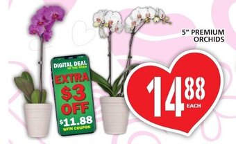 Food Basics 5" Premium Orchids offer
