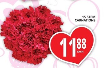 Food Basics 15 Stem Carnations offer