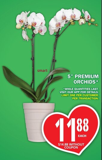 Food Basics 5" Premium Orchids offer