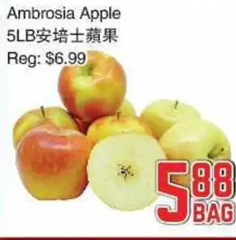 Foody Mart Ambrosia apple 5LB offer