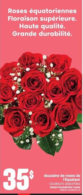 Provigo Dozen ecuadorian roses offer