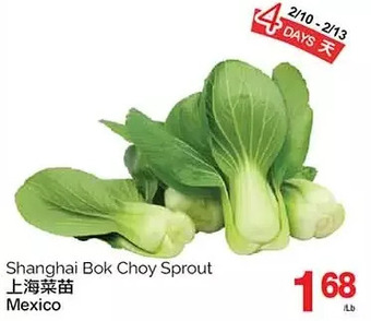 T&T Supermarket Shanghai bok choy sprout offer
