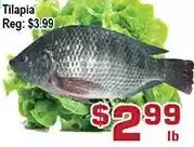 Top Food Supermarket Tilapia offer