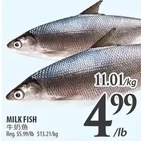 Al Premium Food Mart Milk fish offer