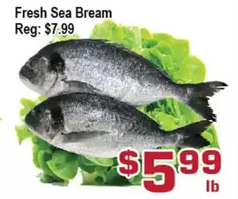 Top Food Supermarket Fresh sea bream offer