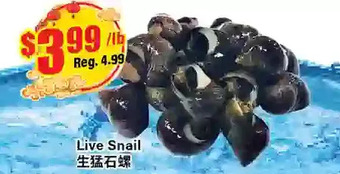 Btrust Supermarket Live snail offer