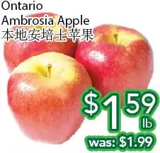 Ample Food Market Ontario ambrosia apple offer
