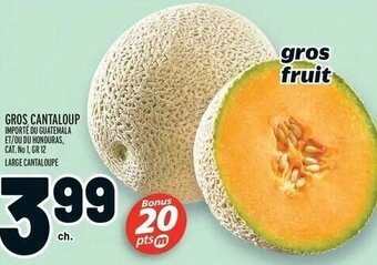 Metro Large Cantaloupe offer