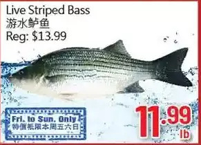 Hong Tai Supermarket Live striped bass offer