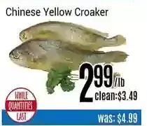 Nations Fresh Foods Chinese yellow croaker offer