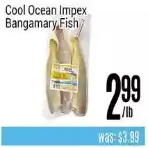 Nations Fresh Foods Cool ocean impex bangamary fish offer