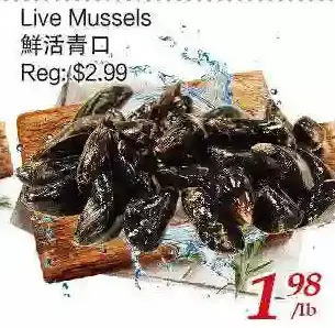 Tone Tai Supermarket Live mussels offer