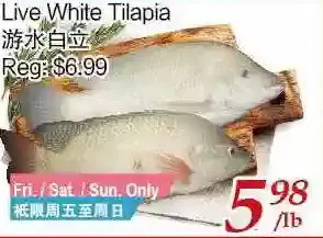 Tone Tai Supermarket Live white tilapia offer