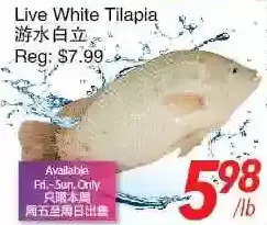 Foody World Live white tilapia offer