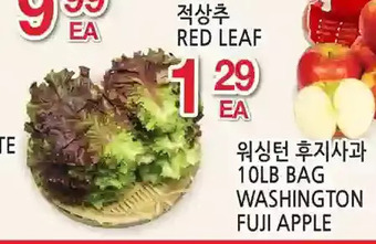 H-Mart Red leaf offer