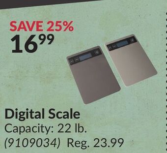 Princess Auto Digital scale offer