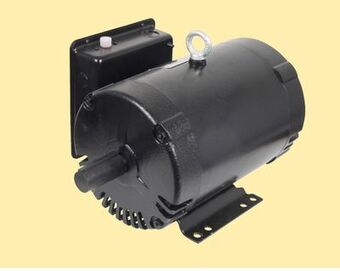 Princess Auto Open drip-proof electric motors offer