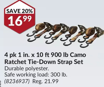 Princess Auto 4 pk 1 in. x 10 ft 900 lb camo ratchet tie-down strap set offer