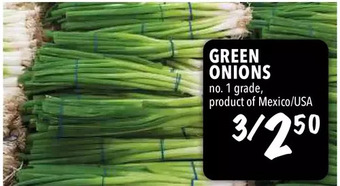Farm Boy Green onions offer