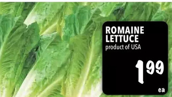 Farm Boy Romaine lettuce offer