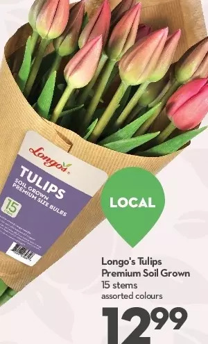 Longo's Longo's tulips premium soil grown offer