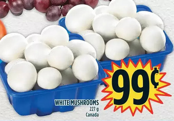 Marché Adonis White mushrooms offer