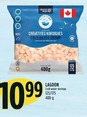 Marché Adonis Lagoon cold water shrimp offer