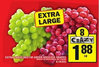 Food Basics Extra large red or green seedless grapes offer