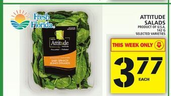 Food Basics Attitude salads offer