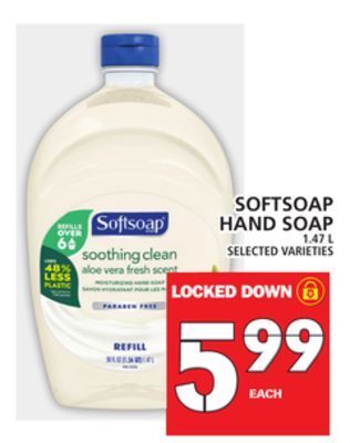 Food Basics Softsoap hand soap offer