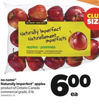 Real Canadian Superstore No name® naturally imperfect™ apples, 6 lb offer