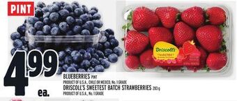 Metro Blueberries offer