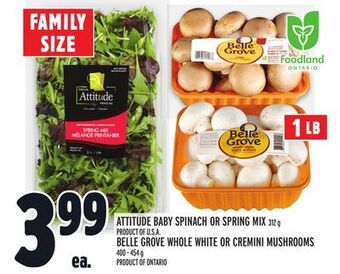 Metro Attitude baby spinach or spring mix offer