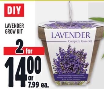 Metro Lavender grow kit offer