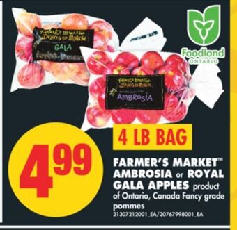 No Frills Farmer's market™ ambrosia or royal gala apples, 4 lb bag offer