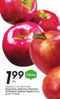 Sobeys Royal gala, ambrosia, mcintosh, cortland or spartan apples offer