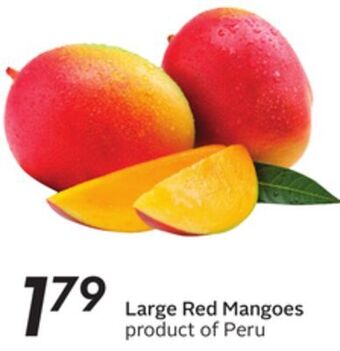 Sobeys Large red mangoes offer