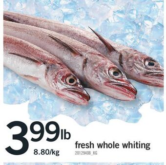 Fortinos Fresh whole whiting offer