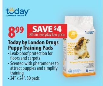 London Drugs Today by london drugs puppy training pads offer