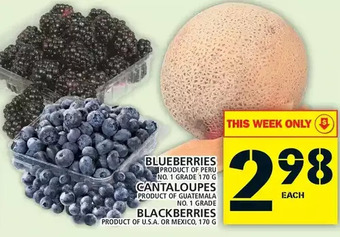 Food Basics Blueberries | cantaloupes | blackberries offer