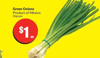 FreshCo Green onions offer