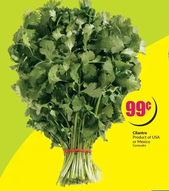 FreshCo Cilantro offer